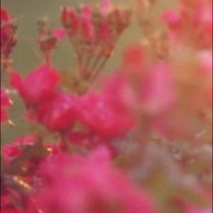 Meet your Posher, Caitlyn